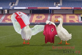 Sparta a Slavie, nové pokračovaní Našich furiantů Sparta a Slavie, nové pokračovaní Našich furiantů